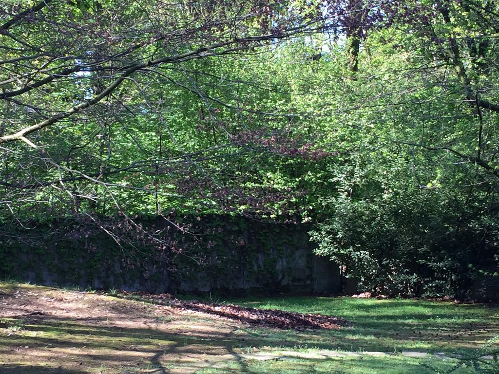 Bed&Garden Cesate Exterior foto