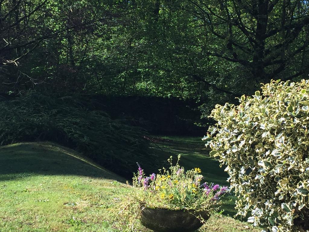 Bed&Garden Cesate Exterior foto