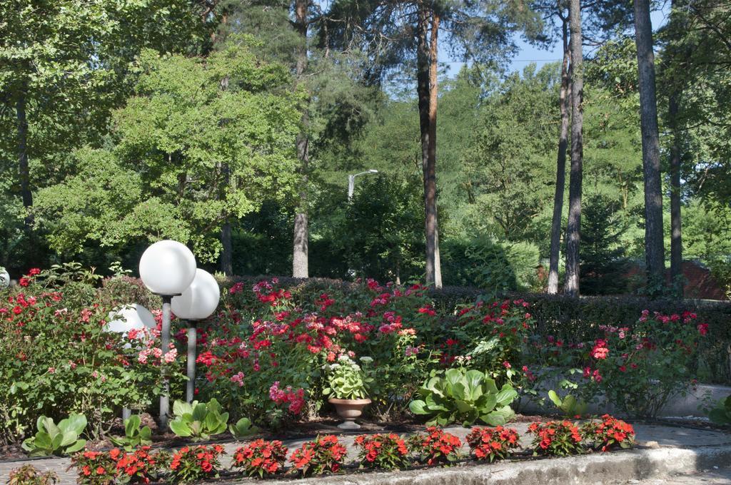 Bed&Garden Cesate Exterior foto